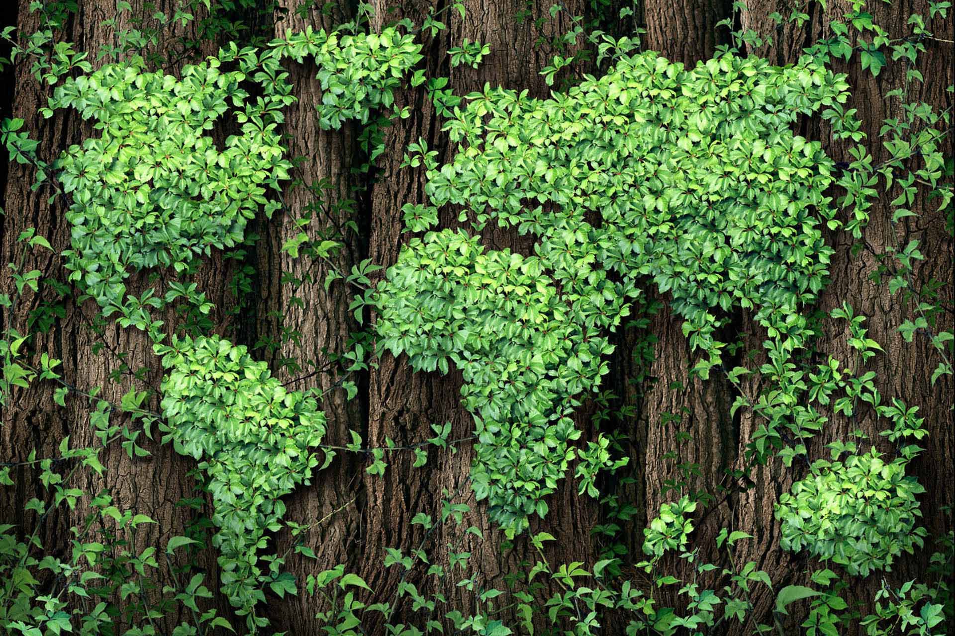 A mindful revolution